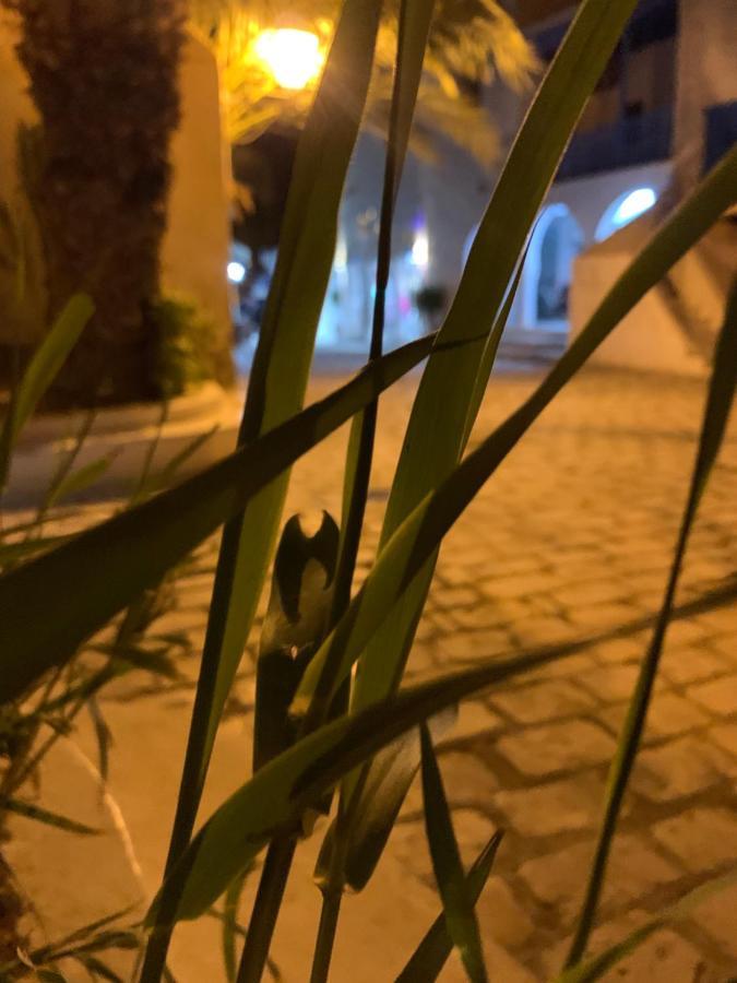 Dar Lola Djerba Bed & Breakfast Houmt Souk  Exterior photo